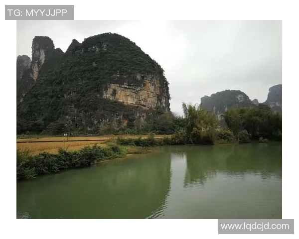 《足球小球星崛起之路：从街头到绿茵场的传奇成长历程》