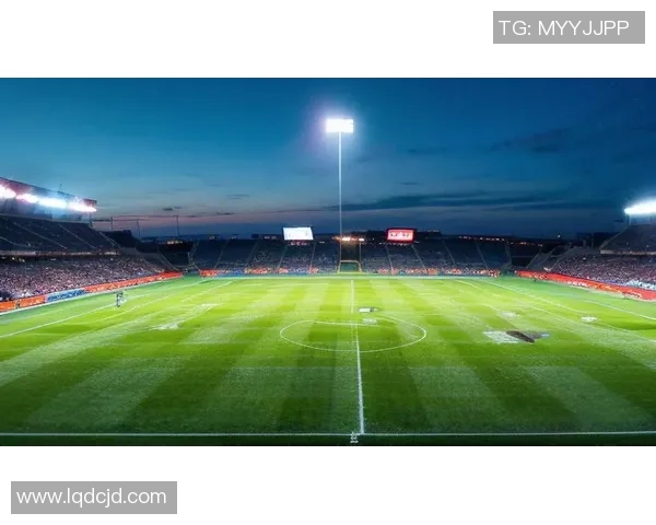 足球传奇星光璀璨全球球员风采集：从绿茵场到历史永恒的荣耀之路